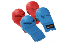 Gants de karaté 